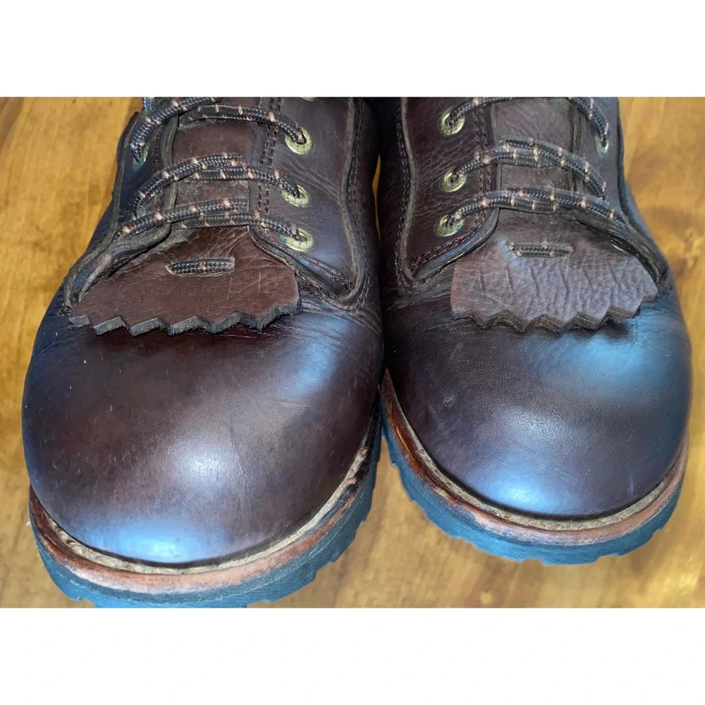 Irish Setter good pre